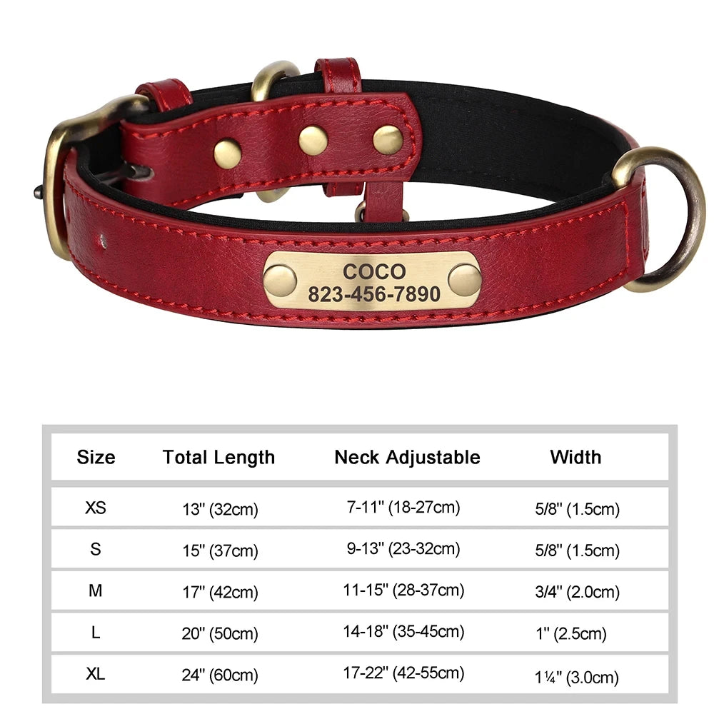 קולר עור מרופד לכלב עם שם