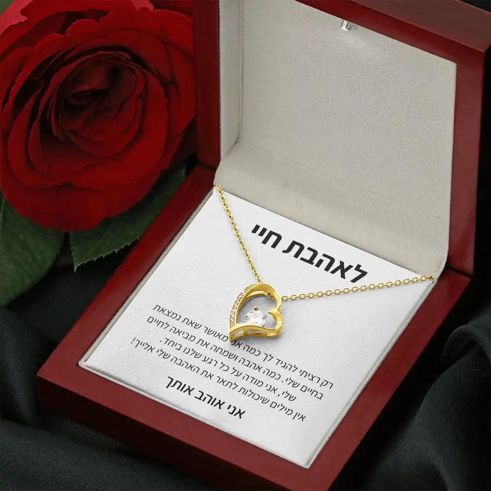 My Love Heart Necklace Wife Soulmate Gifts Women Birthday Christmas Gift Girl Fashion Jewelry With Box Dropshipping שרשרת