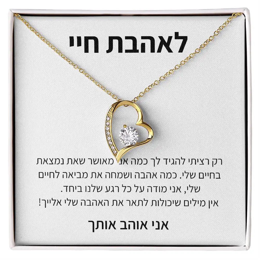 My Love Heart Necklace Wife Soulmate Gifts Women Birthday Christmas Gift Girl Fashion Jewelry With Box Dropshipping שרשרת