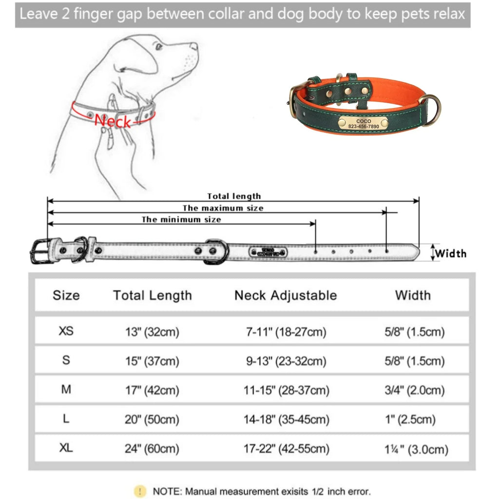 קולר עור מרופד לכלב עם שם